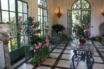 indoor plants